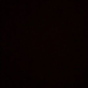 Meet your Posher, Mya